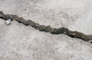 Old Sidewalk Cracked and Heaved